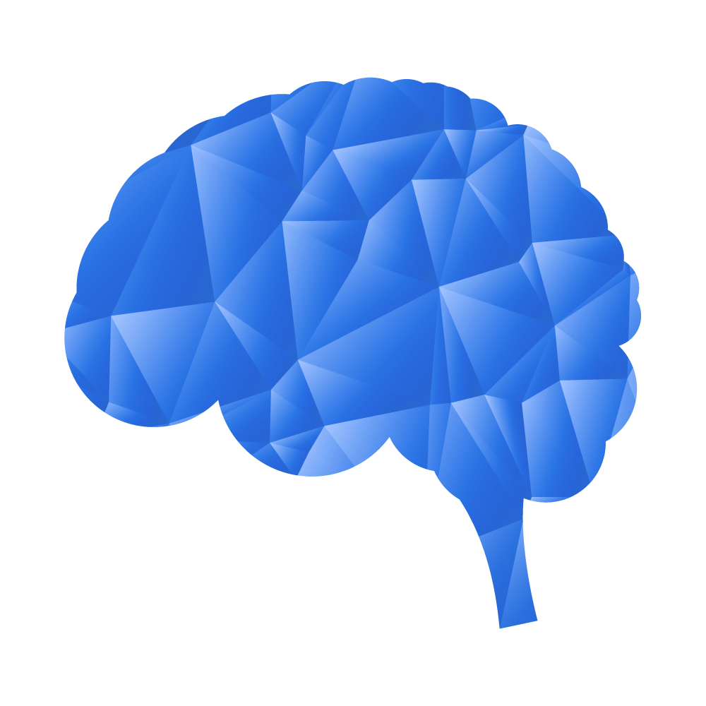 Scoala de toamna a tinerilor neurochirurgi